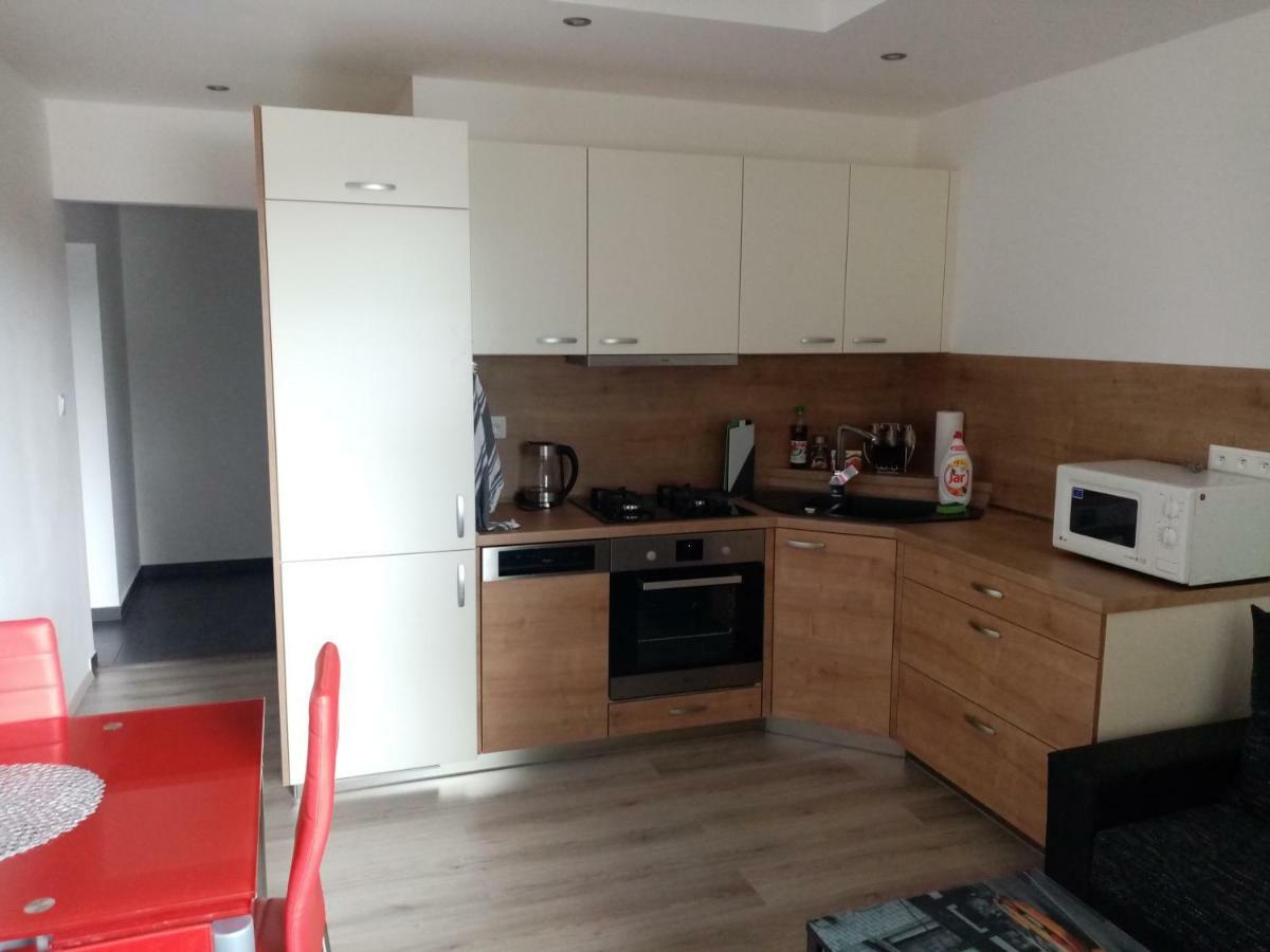 קרלובי וארי Apartman Aneta מראה חיצוני תמונה