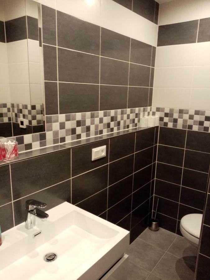 קרלובי וארי Apartman Aneta מראה חיצוני תמונה