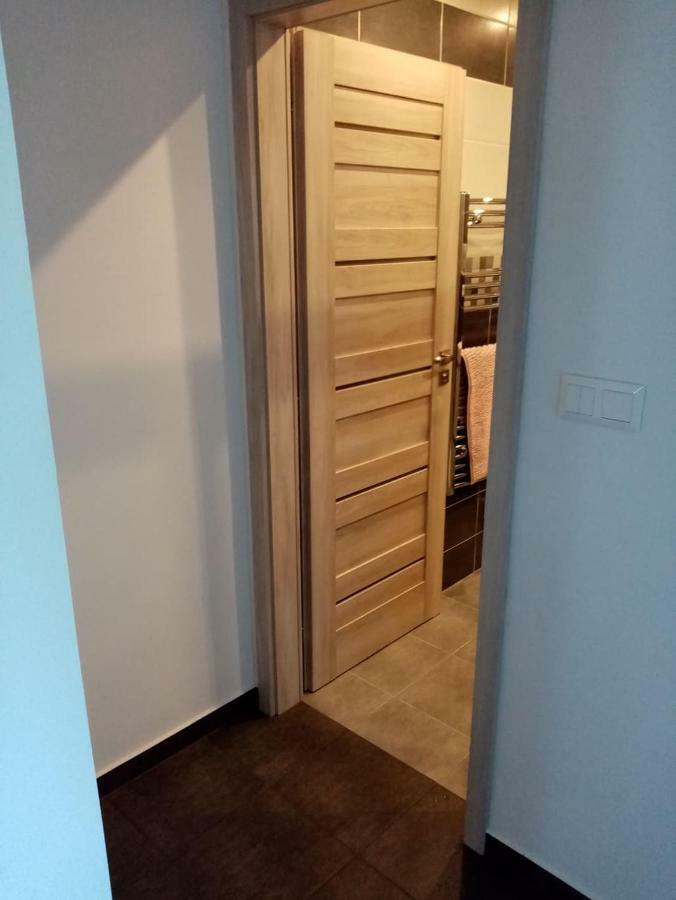 קרלובי וארי Apartman Aneta מראה חיצוני תמונה