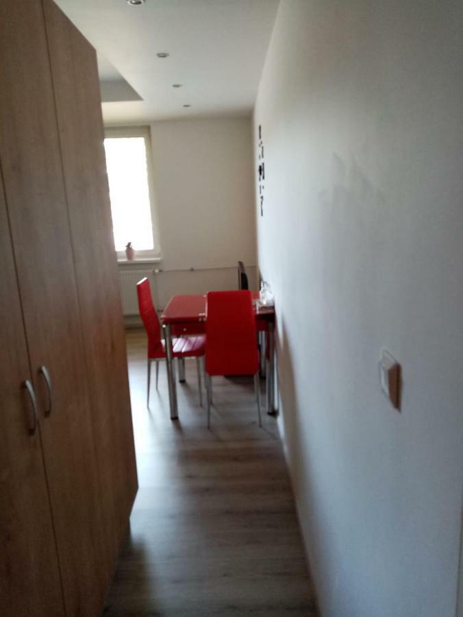 קרלובי וארי Apartman Aneta מראה חיצוני תמונה